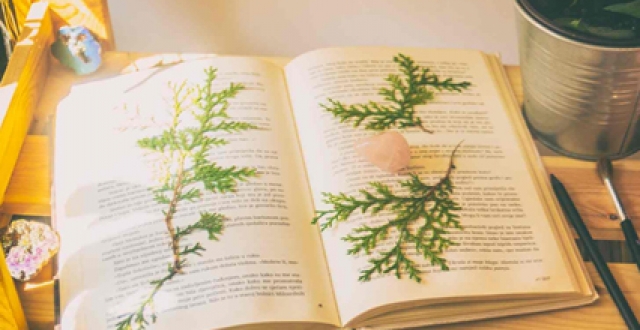 无广告读书软件大全