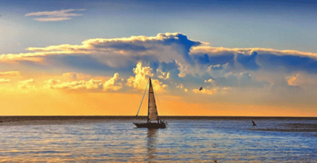 安卓壁纸软件大全