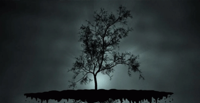 个性化壁纸软件大全