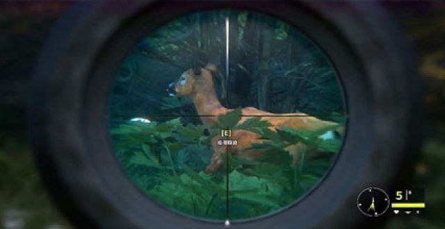 捕捉猎物手游大全