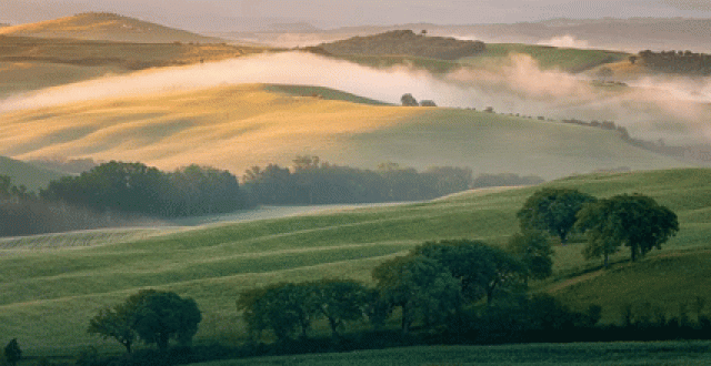 高清美图软件大全