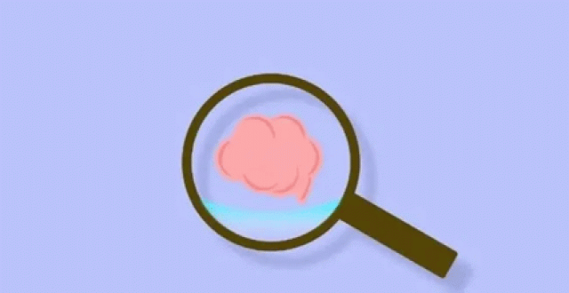 搜索工具软件大全