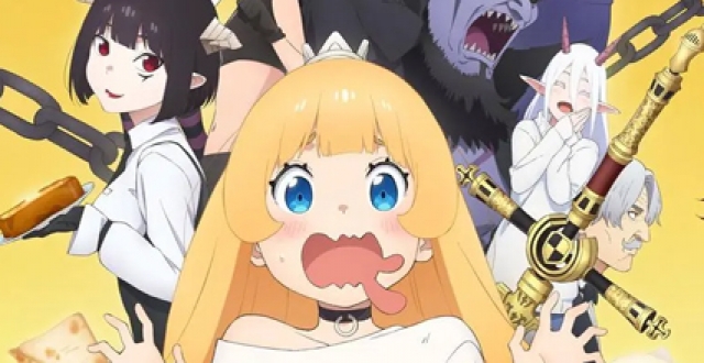 追番专用软件大全