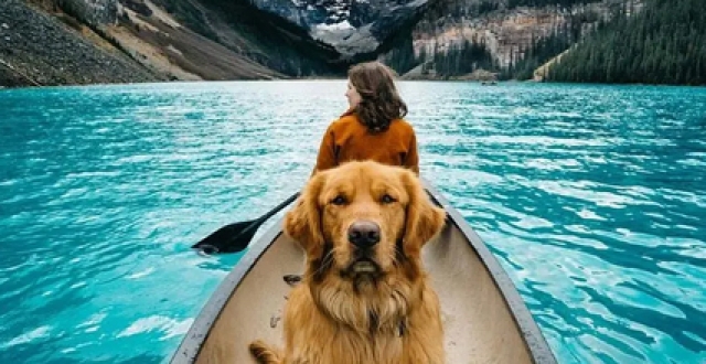 网红壁纸软件大全