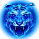 四虎影视最新版