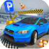 Parking Drive 3D