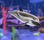 海底生存大逃亡