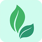 中医保健健康养生