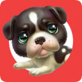 狗狗助手