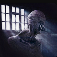 黑暗追捕者1.2版