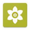 安装狮直装版apk