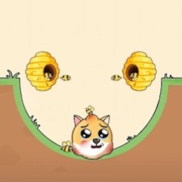 快点躲起来帮助狗狗