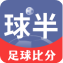 球半