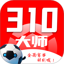 310大师
