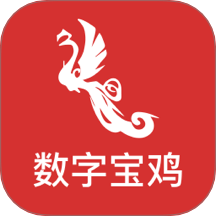 数字宝鸡