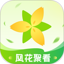 风花聚看