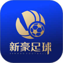 新豪足球