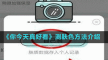 《你今天真好看》测肤色方法介绍