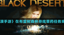 《黑色沙漠手游》在布雷树森林寻找草药任务完成方法
