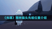 《光遇》雨林磕头先祖位置介绍