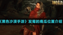 《黑色沙漠手游》发霉的南瓜位置介绍
