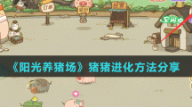 《阳光养猪场》猪猪进化方法分享