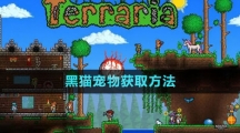 《泰拉瑞亚》国服黑猫宠物获取方法
