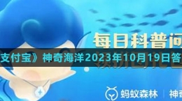 《支付宝》神奇海洋2023年10月19日答案
