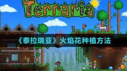 《泰拉瑞亚》火焰花种植方法