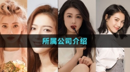 《完蛋2我被帅哥包围了》所属公司介绍