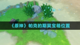 《原神》帕克的期冀宝箱位置