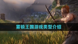 《雾锁王国》游戏类型介绍