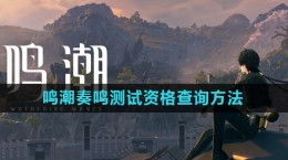 《鸣潮》奏鸣测试资格查询方法