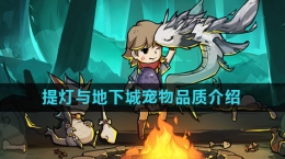 《提灯与地下城》宠物品质介绍
