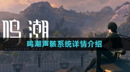 《鸣潮》声骸系统详情介绍