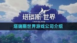 《塔瑞斯世界》游戏公司介绍