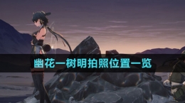 《鸣潮》幽花一树明拍照位置一览