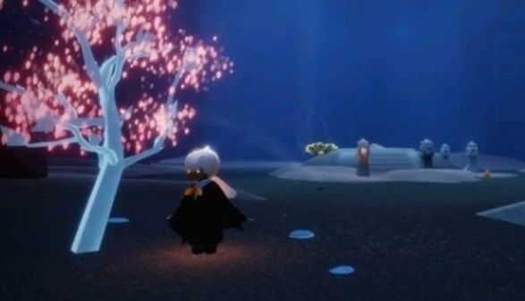 《光遇》禁阁赏花任务完成方法