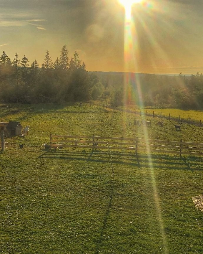 微信状态农场背景高清无水印图片分享