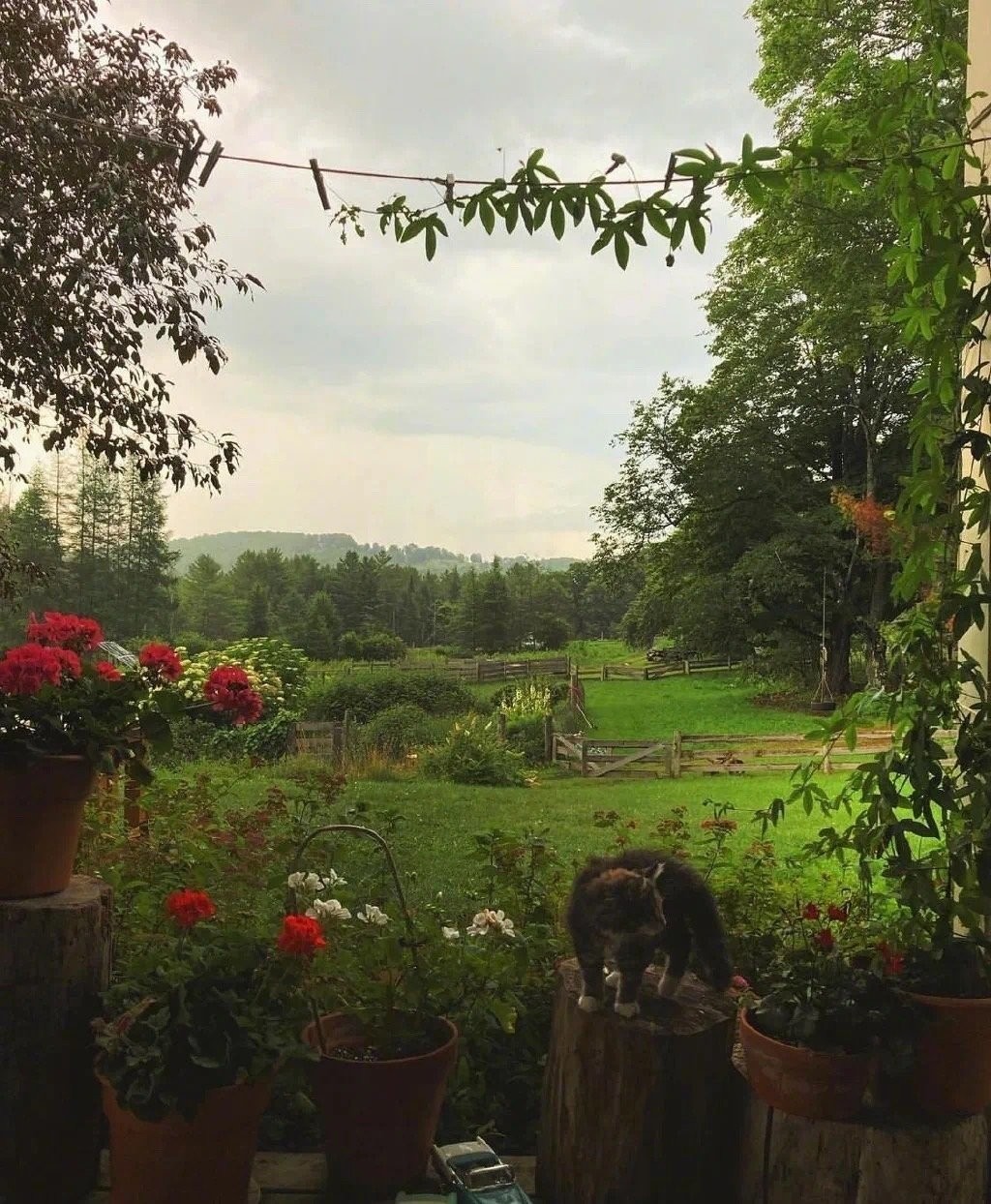 微信状态农场背景高清无水印图片分享