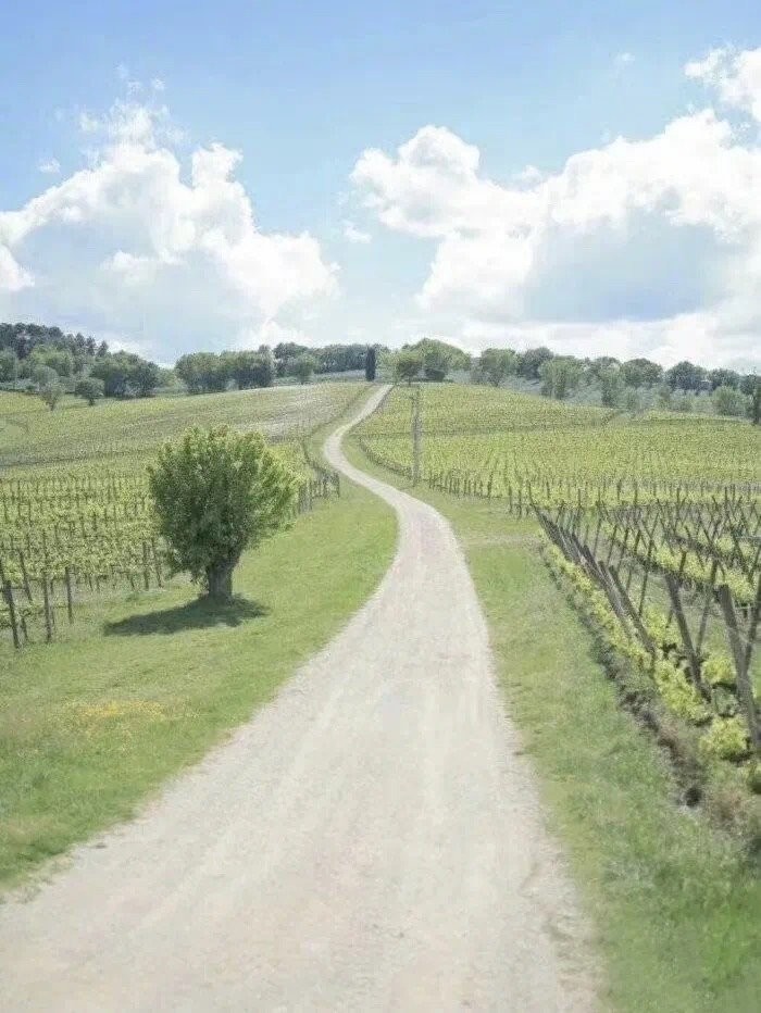 微信状态农场背景高清无水印图片分享