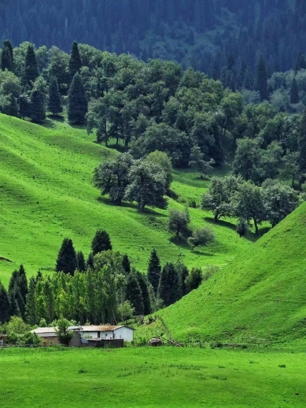 微信状态农场背景高清无水印图片分享
