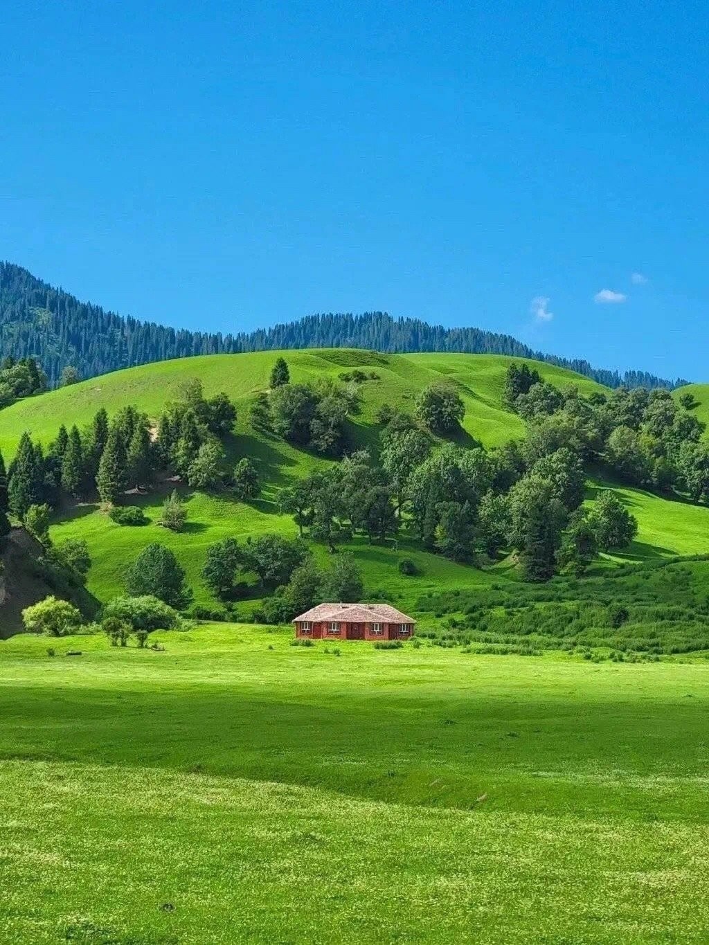 微信状态农场背景高清无水印图片分享