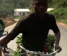 奥德彪拉香蕉梗出处含义介绍