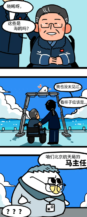 科学家马兆海鸥的表情包