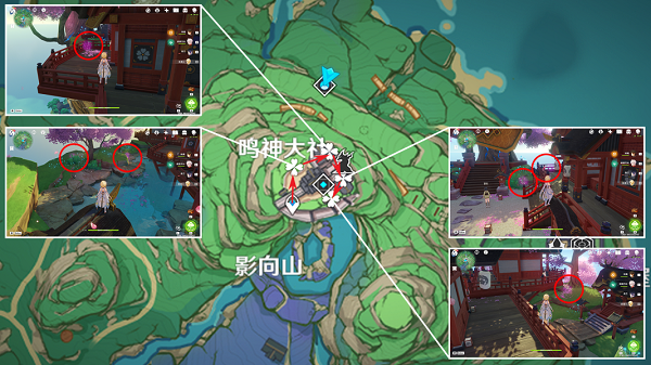 《原神》绯樱绣球采集路线图