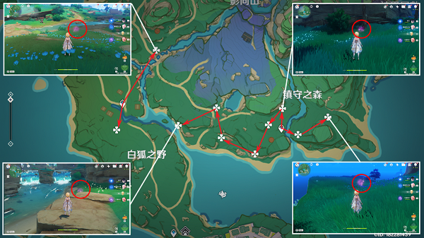 《原神》绯樱绣球采集路线图