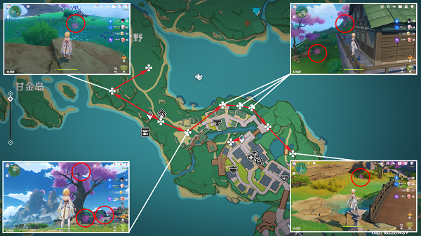 《原神》绯樱绣球采集路线图