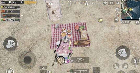 绝地求生刺激战场樱花树在哪个地方 刺激战场樱花树位置一览