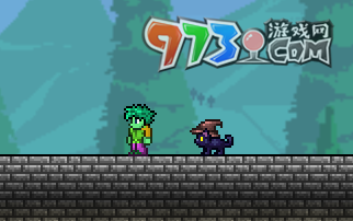 《泰拉瑞亚》国服黑猫宠物获取方法